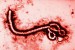 ebola-virus